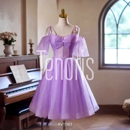 Vestido de Quinceañera